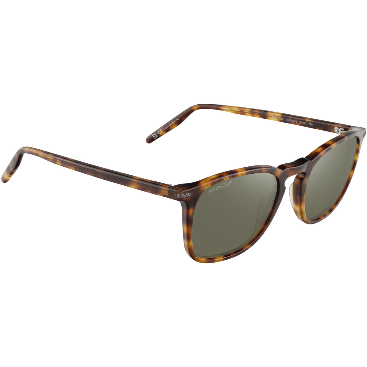 DELIO LARGE, Classic Tortoise-Mineral Polarized 555nm Cat 3 to 3, hi-res image number null